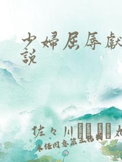 少妇屈辱献身小说