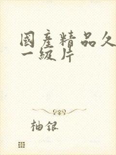 国产精品久久久一级片