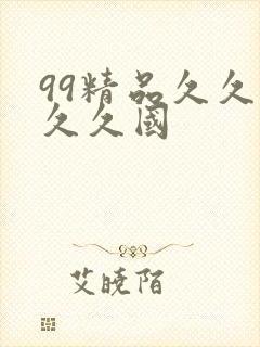 99精品久久久久久国