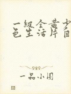 一级全黄少妇性色生活片自拍