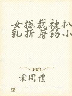 女总裁被扒开双乳折磨的小说