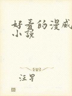 好看的漫威同人小说