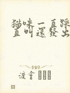 猫咪一直踩奶一直叫还发出呼呼声