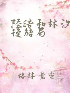 陆皓和林汐月最后结局