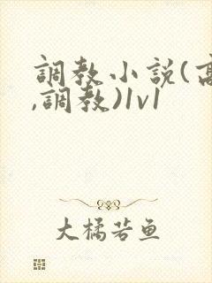 调教小说(高h,调教)1v1