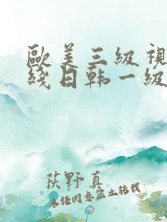 欧美三级视频在线日韩一级视频播放