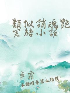 类似销魂艳婢的完结小说