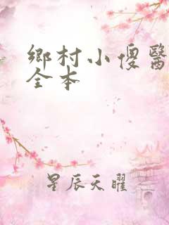 乡村小傻医阅读全本