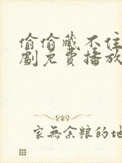 偷偷藏不住电视剧免费播放在线高清