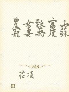 农女致富山里汉宠妻无度苏红珊