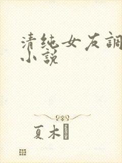 清纯女友调教我小说