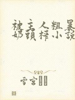 被主人粗暴玩弄奶头榨小说