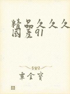 精品久久久久久国产91