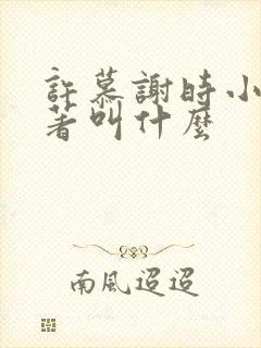 许慕谢时小说原著叫什么