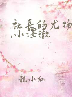 社长的尤物秘书,小泽彻