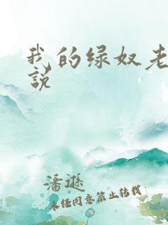 我的绿奴老公小说