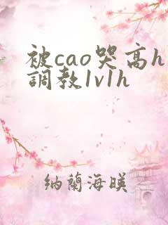 被cao哭高h调教1v1h