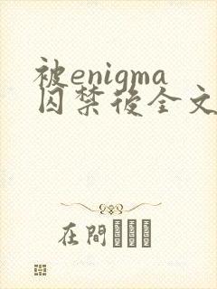 被enigma囚禁后全文免费阅读