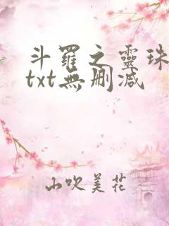 斗罗之灵珠神剑txt无删减