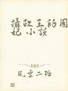 摄政王的团宠医妃 小说