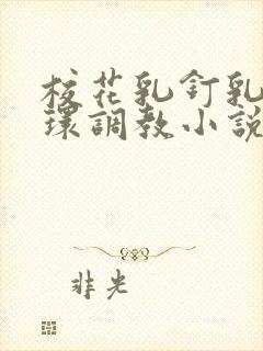 校花乳钉乳环蒂环调教小说h