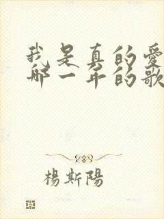 我是真的爱上你哪一年的歌