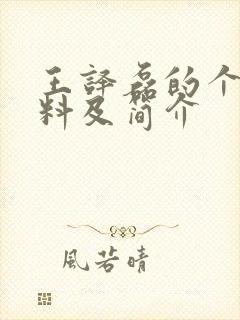 王译磊的个人资料及简介