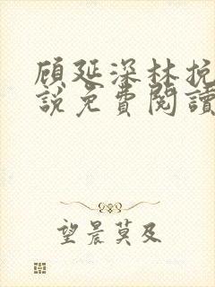 顾延深林挽音小说免费阅读最新章节