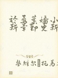 于勇叶娇小说最新章节更新内容