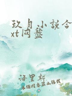 玖月小说合集txt网盘