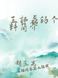 王译磊的个人资料简介