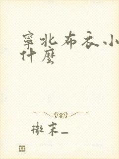 宁北布衣小说叫什么