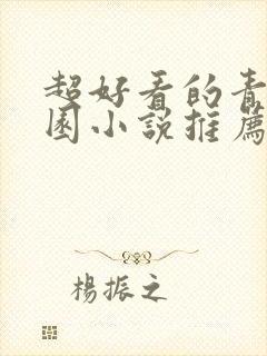 超好看的青春校园小说推荐