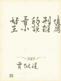 好看的刑侦双男主小说推荐