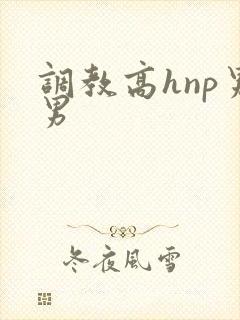 调教高hnp男男
