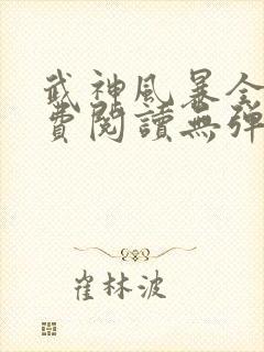 武神风暴全文免费阅读无弹窗笔趣阁