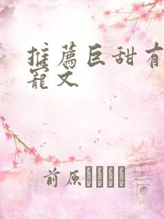 推荐巨甜有肉甜宠文