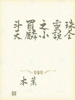 斗罗之灵珠神剑天麟小说全文免费阅读