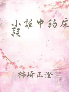 小说中的床戏片段