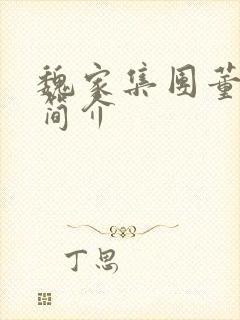 魏家集团董事长简介