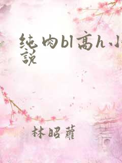 纯肉bl高h小说