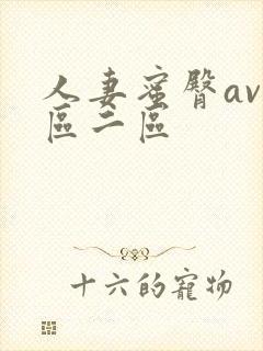 人妻蜜臀av一区二区