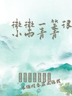 微微一笑很倾城小雨青青