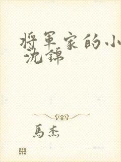 将军家的小娘子 沈锦