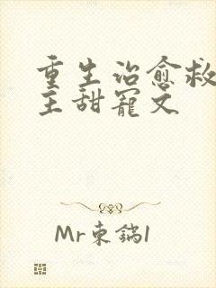 重生治愈救赎男主甜宠文