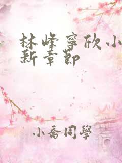 林峰宁欣小说最新章节