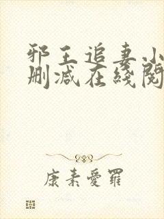 邪王追妻小说无删减在线阅读