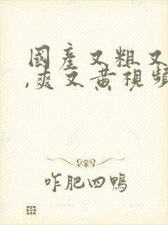 国产又粗又猛又,爽又黄视频