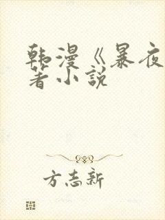 韩漫《暴夜》原著小说