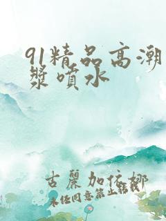 91精品高潮白浆喷水